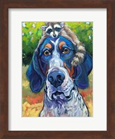 Coonhound Fine Art Print