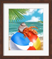 Beach Friends - Hermit Crab Fine Art Print
