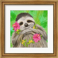 Smiling Sloth Fine Art Print