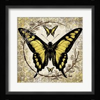 Honey Bee Butterfly 4 Framed Print