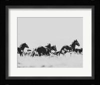 Wild Horses of the Great Basin Fine Art Print