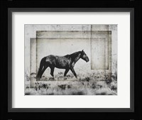 Wild Horses of the Great Basin 5 Fine Art Print