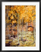 Fall Aspen Fine Art Print