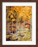 Fall Aspen Fine Art Print