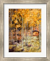 Fall Aspen Fine Art Print