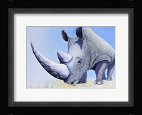 Rhino Framed Print