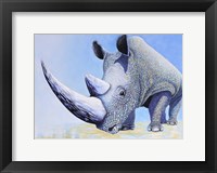 Rhino Framed Print