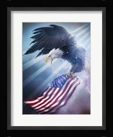 Eagle 1 Fine Art Print
