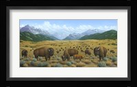 The Bison Trail Fine Art Print