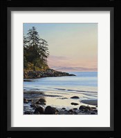 Arbutus Cove Morning Fine Art Print