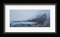 Botany Bay Fog Fine Art Print