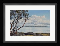 Early Spring Arbutus Fine Art Print