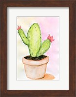 Cactus Fine Art Print