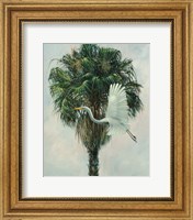The Cabbage Palm Fine Art Print