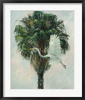 The Cabbage Palm Fine Art Print