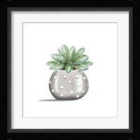 Polka Dot Succulent Fine Art Print