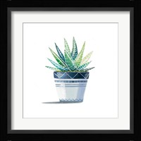 Aloe Plant Fine Art Print