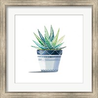 Aloe Plant Fine Art Print