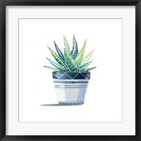 Aloe Plant Fine Art Print