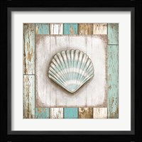 Shell Framed Print