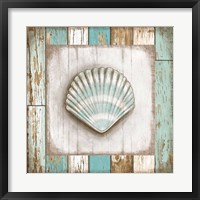 Shell Framed Print