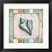 Turquoise Seashell Fine Art Print