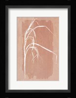 Fall Grasses No. 1 Fine Art Print