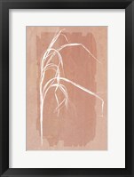 Fall Grasses No. 1 Framed Print