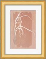 Fall Grasses No. 1 Fine Art Print