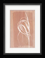 Fall Grasses No. 4 Fine Art Print