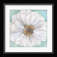 Zinnia V Fine Art Print