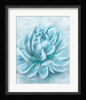 Aqua Succulent III Fine Art Print