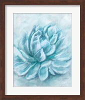 Aqua Succulent III Fine Art Print
