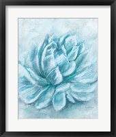 Aqua Succulent III Fine Art Print