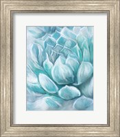 Aqua Succulent IV Fine Art Print