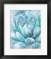 Aqua Succulent IV Fine Art Print