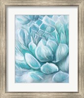 Aqua Succulent IV Fine Art Print