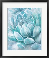 Aqua Succulent IV Framed Print