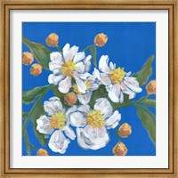 Blue White Flowers Fine Art Print