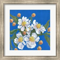 Blue White Flowers Fine Art Print