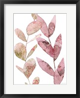 Meadow Flora Botanical I Framed Print