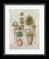 Potting Bench & Topiaries II Fine Art Print
