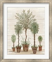 Potted Tree Collection Fine Art Print