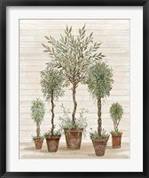 Potted Tree Collection Fine Art Print