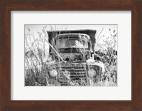 Truck in Wildflower Field Fine Art Print