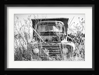 Truck in Wildflower Field Fine Art Print