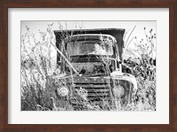 Truck in Wildflower Field Fine Art Print