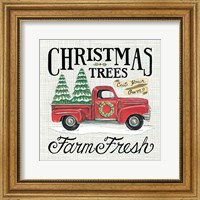 Christmas Trees Farm Fresh Fine Art Print