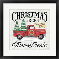 Christmas Trees Farm Fresh Fine Art Print