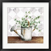 Eucalyptus White Watering Can Framed Print